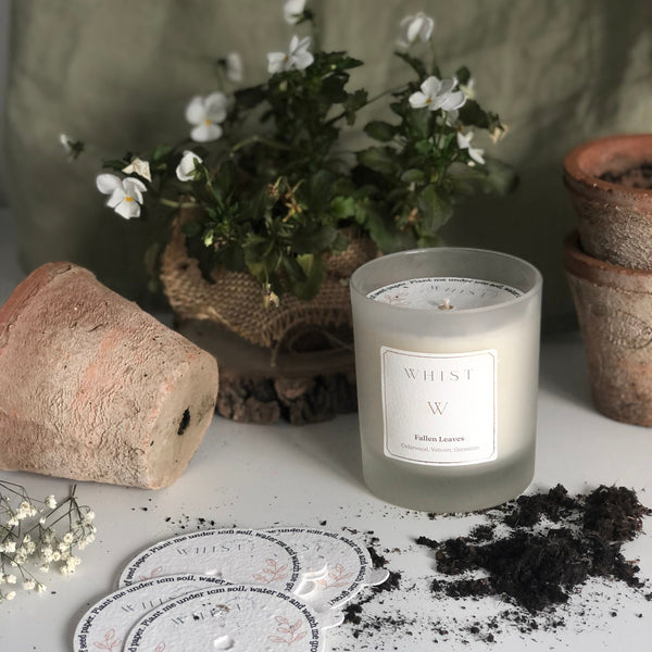 Alba Rose Candle
