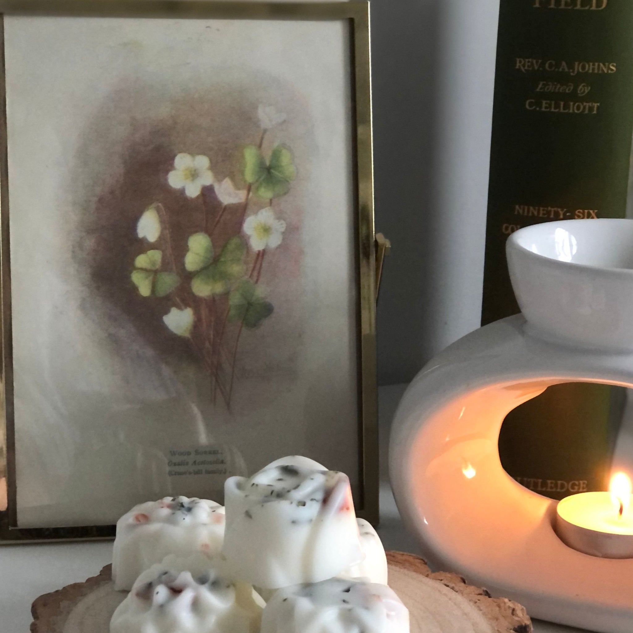 Into The Woods Botanical Wax Melts