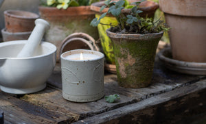 Candle in a textured holder on a wooden surface with potted plants in the background